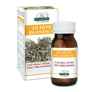 LICHENE ISLANDICO 80PAST